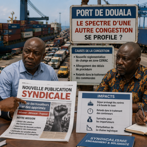 Voici donc un nouveau venu dans la presse